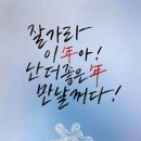 데일리장어 이미지