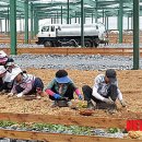 이식태양광발전소 이미지