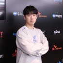 젤리스프링 이미지