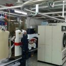 매니아운동화세탁전문점 이미지