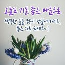 행복한하루 이미지