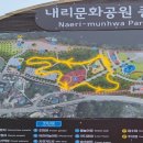 평택 수국 명소 내리문화공원, 6월 27일 개화상태와 산수국 후기
