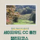 홍천 골프장 세이지우드CC 홍천 챌린지코스 라운딩 후기