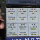 강남-227 이미지