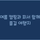 단양군산림조합 | 여름 캠핑과 피서 함께 즐길 여행지