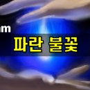 그림형제 이미지