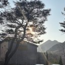 가평 모이스 독채 풀빌라 펜션 | 가평 대가족여행 독채 풀빌라 펜션 소베라노 01 숙박후기