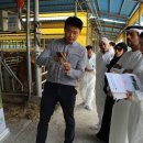 라이크팜 이미지