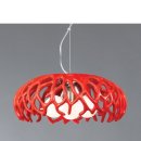 양정수지 이미지