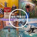 4185 | 제주 실내 액티비티 "박물관은 살아있다" 내돈내산 후기 가족여행 아이와 가볼만한 곳 놀거리 추천