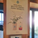 세종 고복저수지 입구 핸드드립 카페 &lt;오뜨몽드&gt; 내돈내산 후기♡