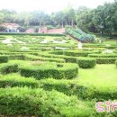 여미지식물원 이미지