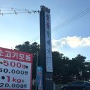 산정 | 용인 갈매기살 맛집 산정숯불갈매기 방문 후기