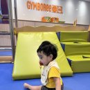 가산문화센터 | 가산 짐보리 Crawler 반 후기 / 여름학기-가을학기 12주 과정