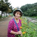 입석3리 이미지