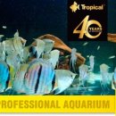 디스커스코리아 이미지