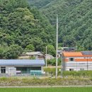 천도리양지마을 Daum카페
