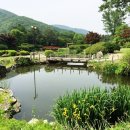 동산 네이버블로그