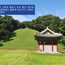 시너스파크 협업지원단 2026년 상반기 세미나 후기(이의준 조선왕릉연구소장/경영학박사: 신들의 정원...