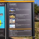 자라섬캠핑장 서도-1 (잔디광장) 이미지
