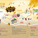경섭목장 | 보령축제 제8회 보령 청라 은행마을 축제 안내(feat. 은행나무에서 부르는 만추의 연가)