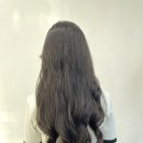 제이필헤어 - 광진구 | 제이필헤어