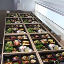 금정-화창한 날의 | [부산금정구도시락] 부산 수제 도시락 VIP6호, 품격 있는 점심을 위한 프리미엄 부산도시락