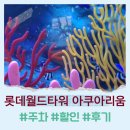 동학산공원(14호) 축구장 | 롯데타워 아쿠아리움 할인정보와 관람 후기