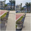 정읍 동신초등학교 이미지