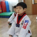 단국대 나래태권도 이미지