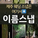 빈티지제주 | 제주 웨딩스냅 가격 이름스냅 빈티지 감성 계약 후기