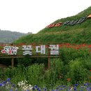 일산중산중산-151 이미지