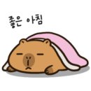 라테라스짐 네이버블로그