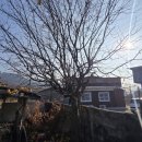 기북면행정복지센터 이미지