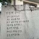 속초안경백화점 | 길은 멀고 아득하지만 멈추지 마