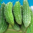 여주와 뽕잎의효능 이미지