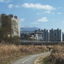 깨비방망이오리날개 이미지