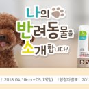 아이펫 이미지