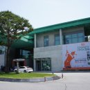 사우스스프링스CC