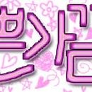 쉐잉 Daum카페