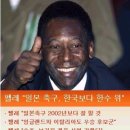 텔레마케팅관리사(필기+실기) &#34;완벽분석 이거하나면 돼!&#34; 이미지