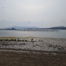 솔섬오토캠핑장 이미지