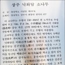 상주 낙화담 소나무 이미지