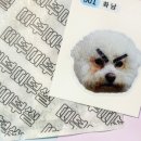 올뉴마켓디자인 이미지