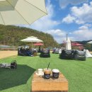 썸레스트 이미지