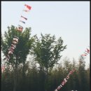 망상초등학교 이미지