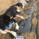 청소년재단 주교 이미지