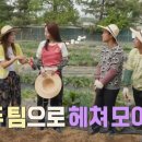 정은농장 이미지