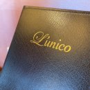 루니코 (L´ unico) 이미지