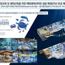 오션스몰